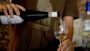 Singurul festival dedicat vinurilor premium şi superpremium revine în această toamnă. Profesioniștii din domeniu au accesul gratuit