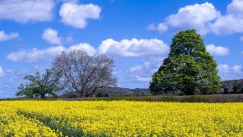 Meteo, 11 mai. Vremea se menține frumoasă. Temperatura maximă atinge 29 de grade Celsius