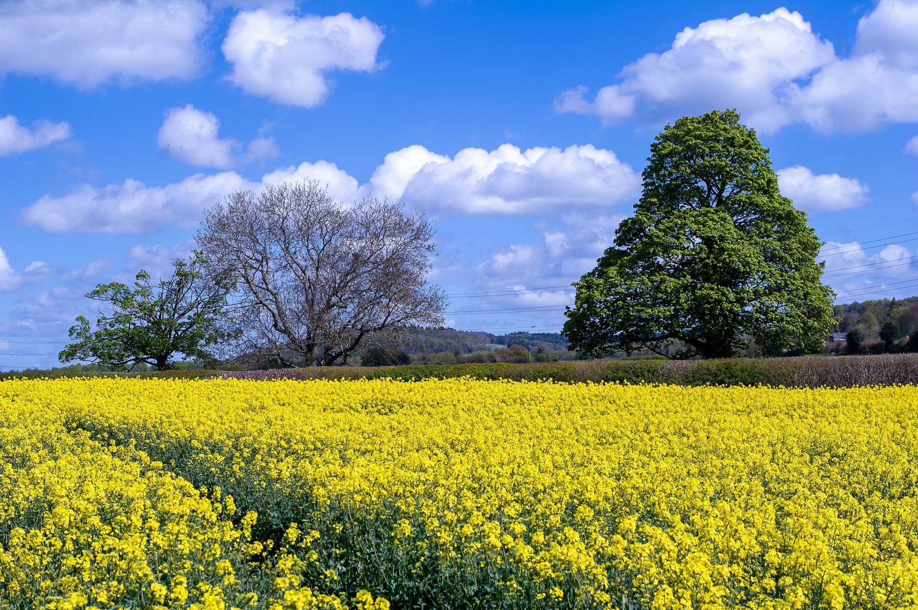 METEO, 9 mai 2021. Vremea va fi predominant frumoasă în toată țara