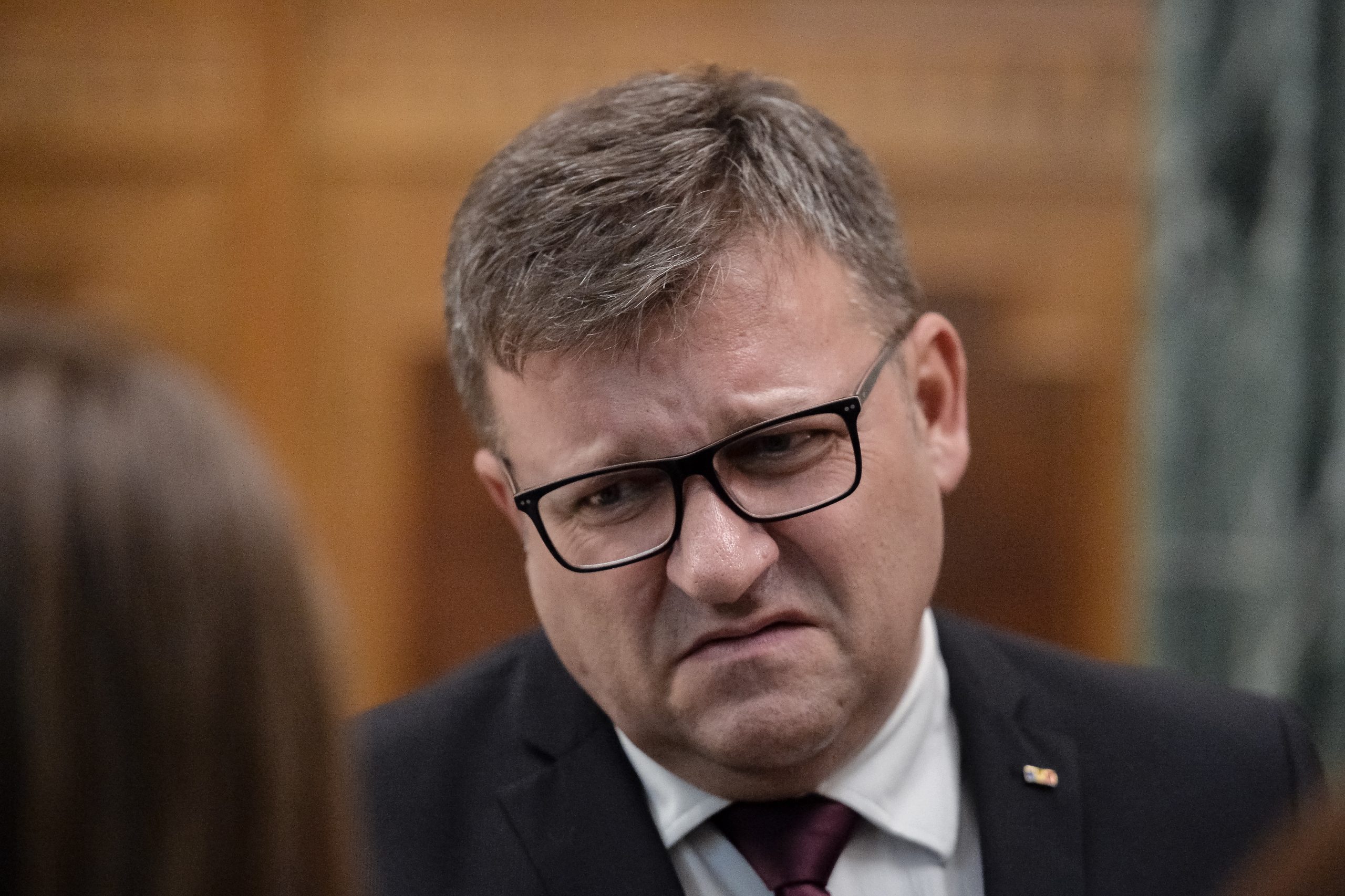 PSD vrea să atace la CCR amânarea creşterii alocaţiilor copiilor. Deputat: „Ce se spune în campania electorală, nu mai e valabil la guvernare”