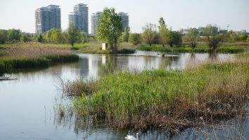 Imagine din Parcul Natural Vacaresti, miercuri, 22 aprilie 2020. Ziua Pamantului se sarbatoreste pe 22 aprilie din anul 1970, in urma unei intiative care si-a propus sa aduca in discutie protejarea mediului. In prezent, peste 190 de tari fac parte din reteaua care marcheaza aniversarea planetei, anul acesta fiind anulate evenimentele publice in urma intrarii in vigoare a Ordonantelor Militare privind circulatia persoanelor in timpul starii de urgenta si aplicarea masurilor de prevenire a raspandirii COVID-19. ALEXANDRU DOBRE/ MEDIAFAX FOTO.
