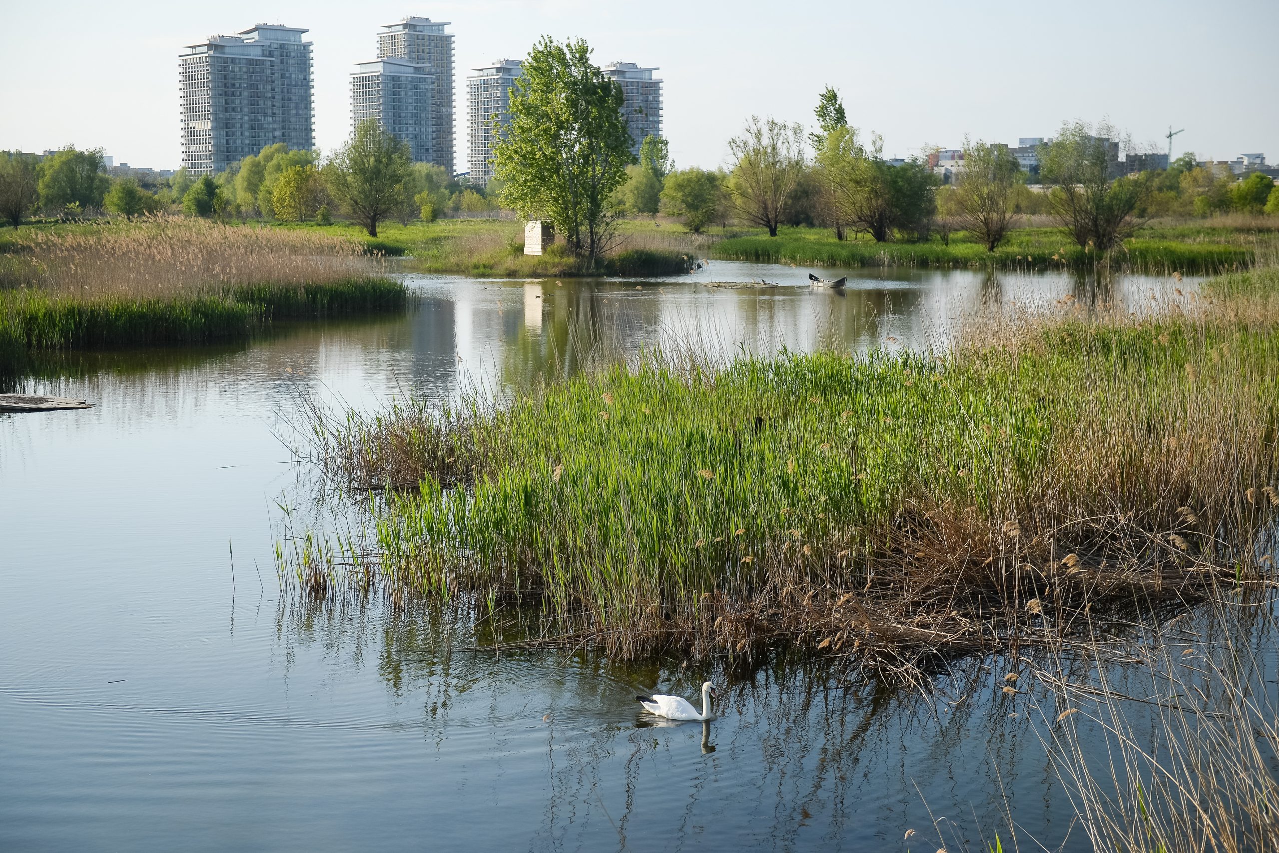 Prognoza meteo în Bucureşti: Temperaturile scad cu 6 grade Celsius