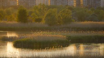 Pasari zboara pe deasupra Lacului Vacaresti din cadrul Parcului Natural Vacaresti din Bucuresti, luni, 27 aprilie 2020. Grupul de Comunicare Strategica a anuntat luni, 27 aprilie, ca au fost confirmate 11.339 de cazuri de persoane infectate cu virusul COVID-19 (Coronavirus) pe teritoriul Romaniei. ANDREEA ALEXANDRU / MEDIAFAX FOTO