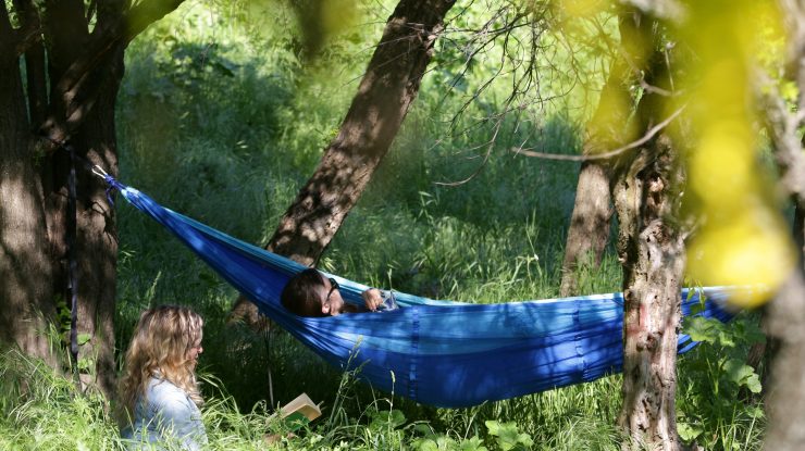 Experții se așteaptă la o creștere a cazurilor de boală Lyme în această vară. Cum o poți preveni