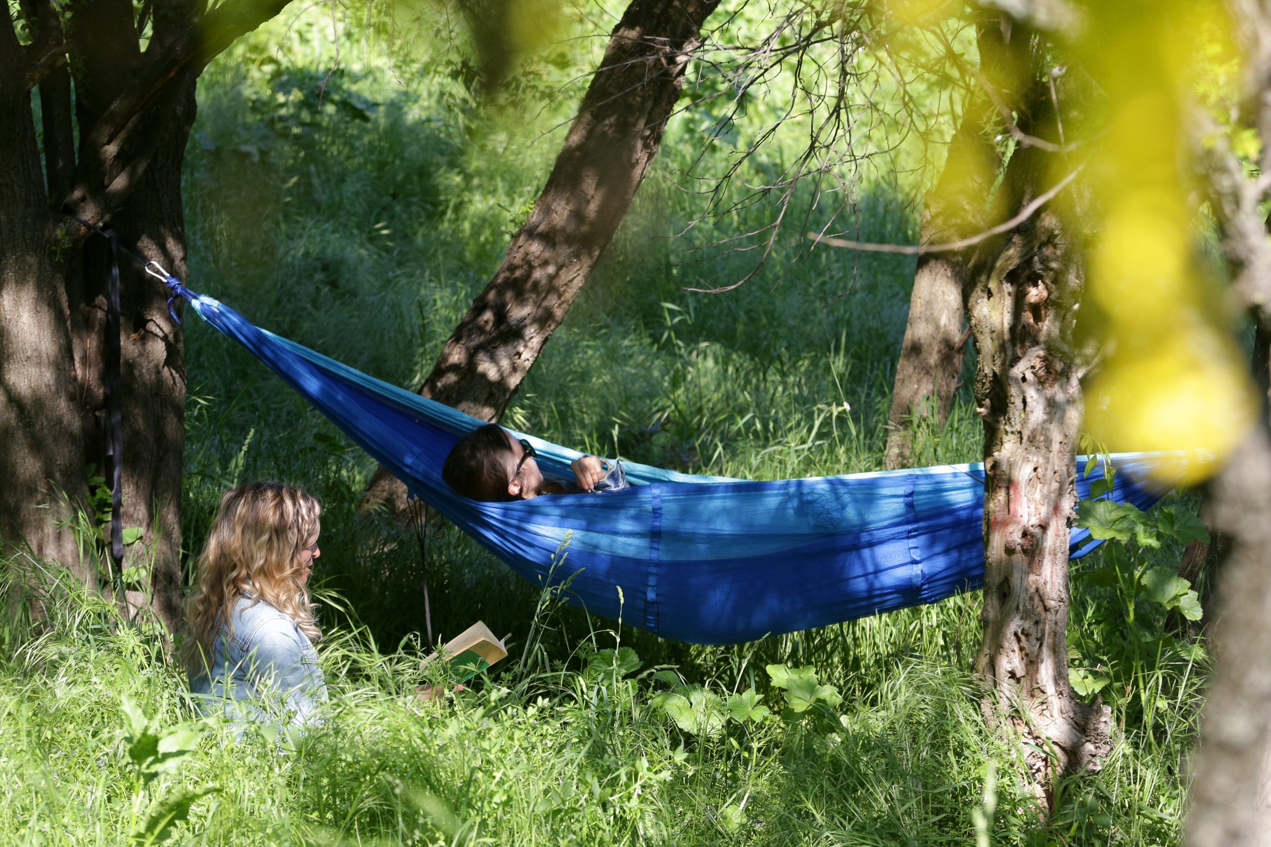 Experții se așteaptă la o creștere a cazurilor de boală Lyme în această vară. Cum o poți preveni