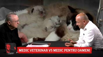 ILC 26 iunie Aurelian Ștefan