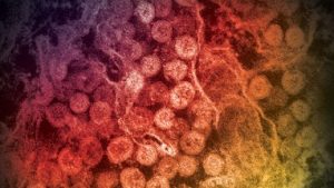 Virusul care ar putea declanșa o nouă pandemie. Ce este MERS-CoV și care sunt simptomele