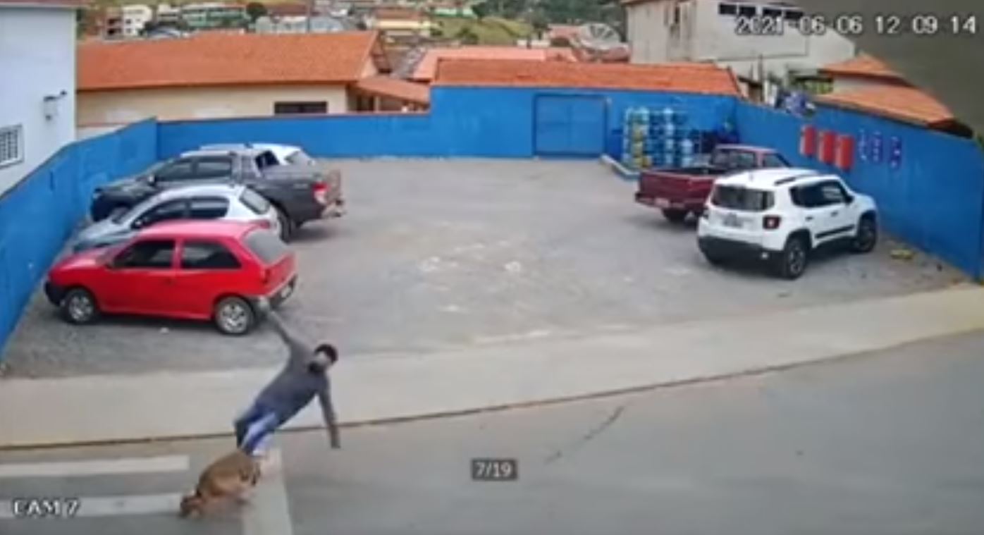 VIDEO. Un bărbat, lovit pe trecerea de pietoni de un câine. Imaginile au devenit virale