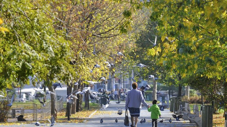 Alee din Parcul Izvor în București, cu pomii înverziți.