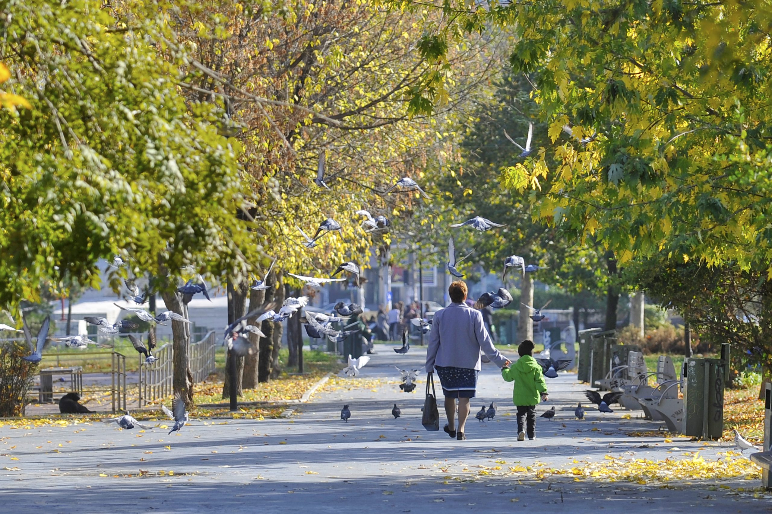 Prognoza meteo: Temperaturi ridicate în Capitală