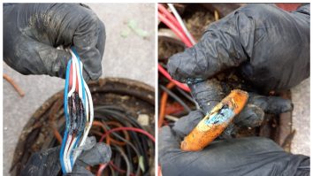 Cablurile roase de șoareci în București. Foto: Compania Municipală Managementul Traficului