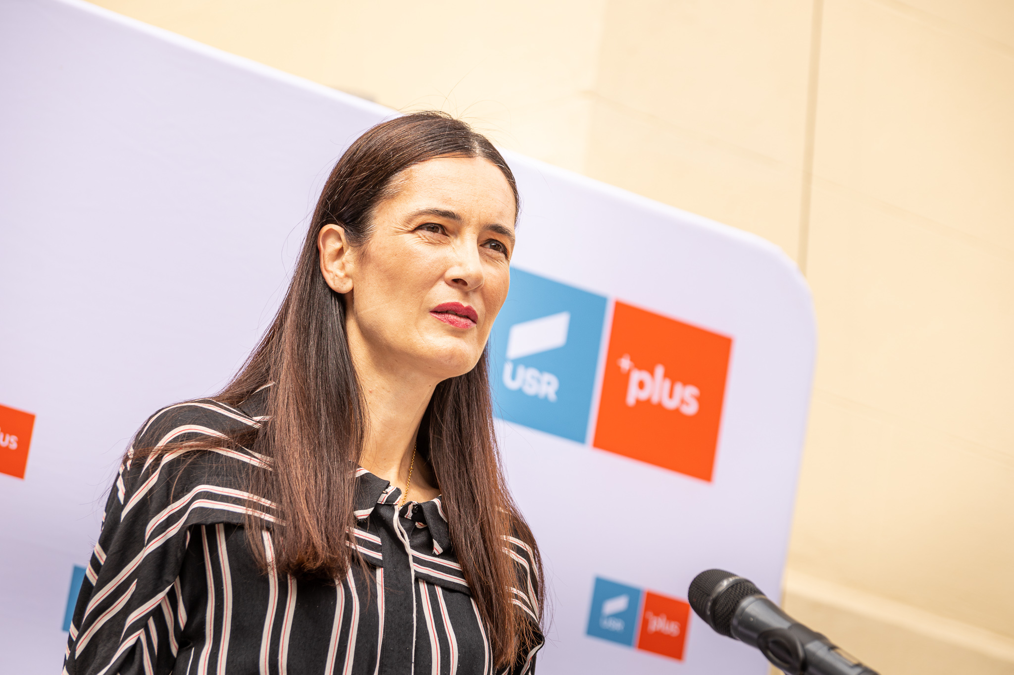 Plângere penală pe numele directoarei Administrației Domeniului Public Sector 1.  Armand: Folosea materiale și muncitori pentru a-și construi o anexă la vilă