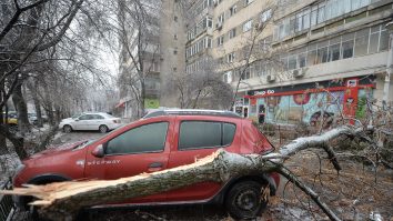 Sute de copaci și stâlpi, prăbușiți în urma vijeliei de vineri seara. Zonele afectate