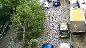 Momentul în care un salcâm se prăbușește peste două mașini, în parcarea unui bloc. VIDEO