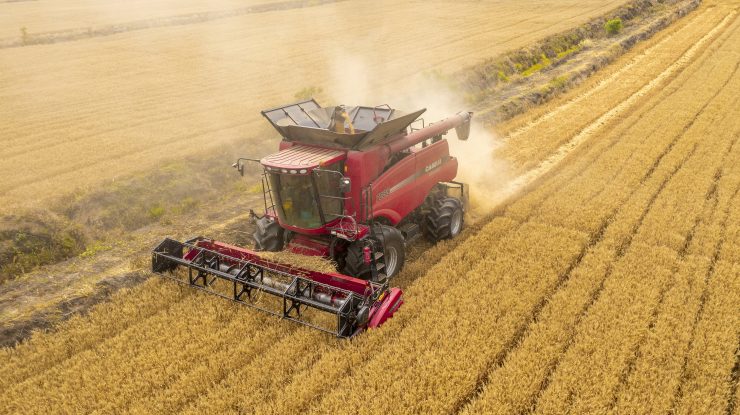 Lan de grâu cu o mașină care treieră spicele de grâu.