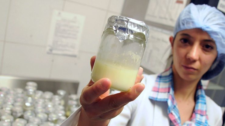 „Laptele matern” cultivat în laborator ar putea fi la doar trei ani distanță