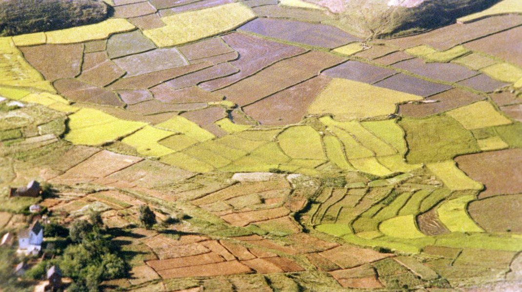 Madagascar