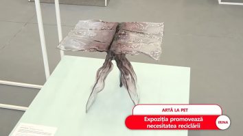 Plasticul, adus la rang de artă. Cum pot fi reciclate în mod creativ PET-urile