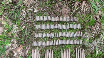 Muniție din Al Doilea Război Mondial, descoperită într-o pădure din Neamț cu un detector de metale