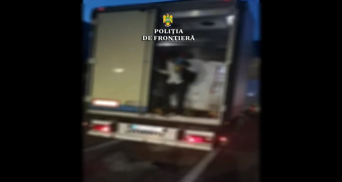 VIDEO. Ce exportă românii în Italia: tone de oase de cal. În remorca frigorifică erau ascunși africani şi asiatici