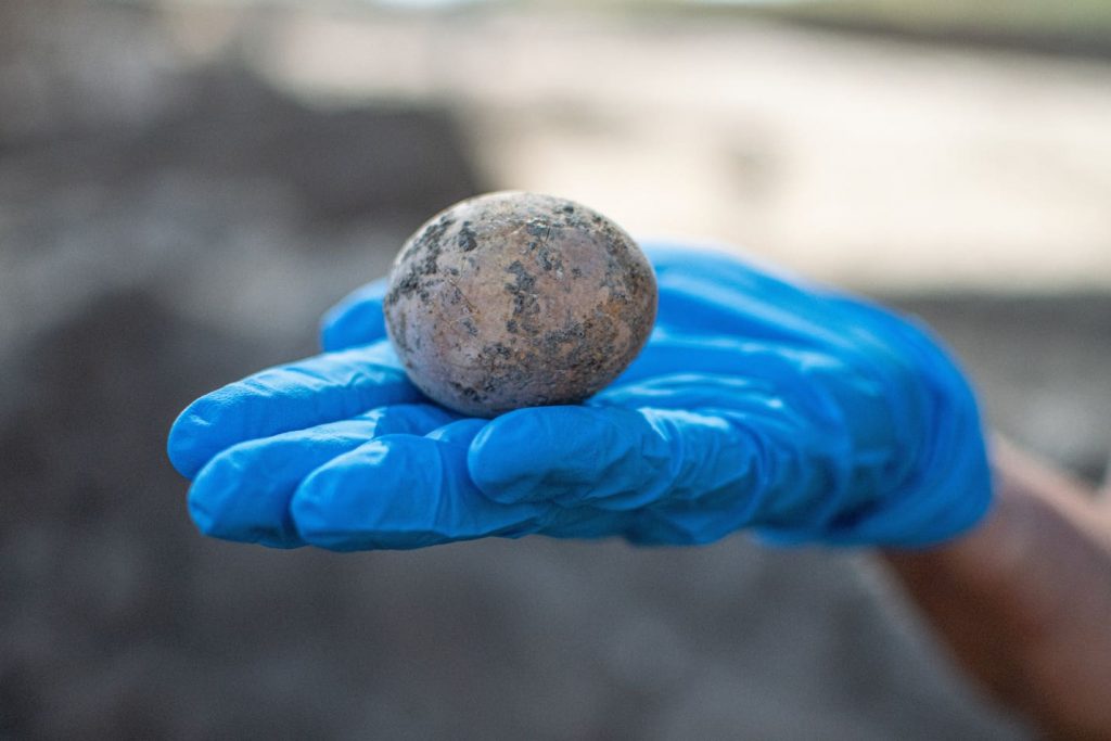 Un ou de găină, vechi de 1.000 de ani, găsit intact de arheologi. Cum a fost distrusă descoperirea rară într-un laborator. FOTO
