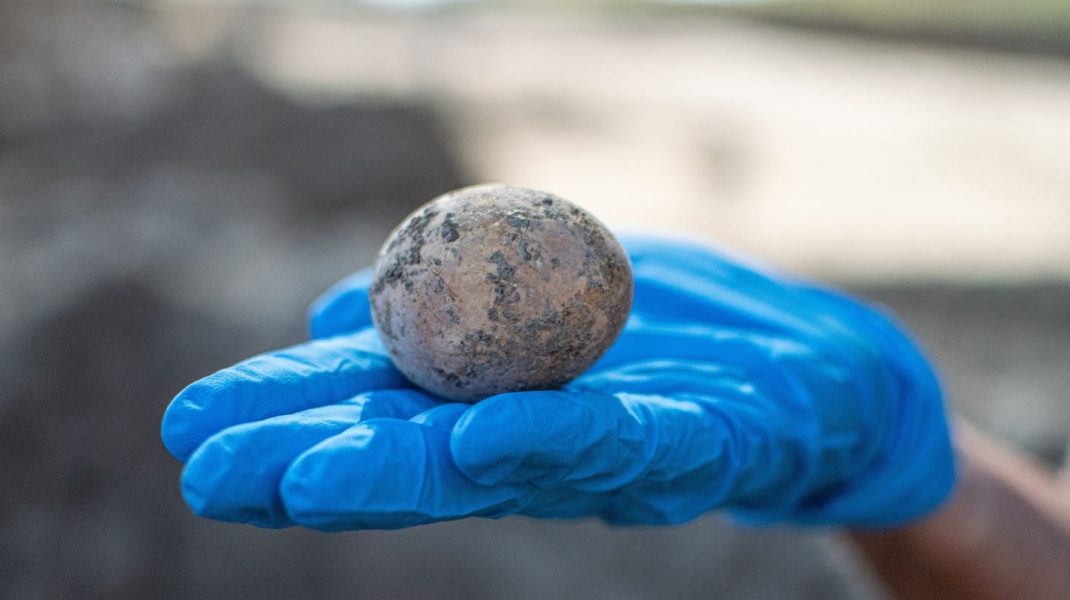 Un ou de găină, vechi de 1.000 de ani, găsit intact de arheologi. Cum a fost distrusă descoperirea rară într-un laborator. FOTO