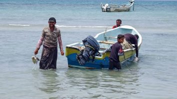 Pescarii din Yemen au descoperit o comoară de 1,5 milioane de dolari în stomacul unui cașalot mort: „E o substanță rară”