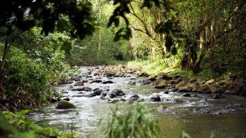 râu din hawaii