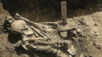 A fost descoperită cea mai veche victimă a unui atac de rechin. Scheletul are aproape 800 de răni