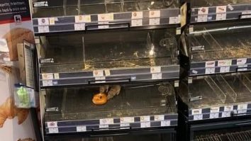 Șobolani în raftul de patiserie din Mega Image. Reacția companiei. FOTO