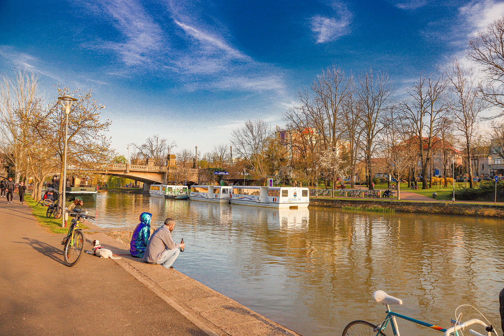 Timișoara va avea grădinar-șef și 9 manageri de cartiere. Care sunt cele 100 de locuri vacante și ce posturi se desființează