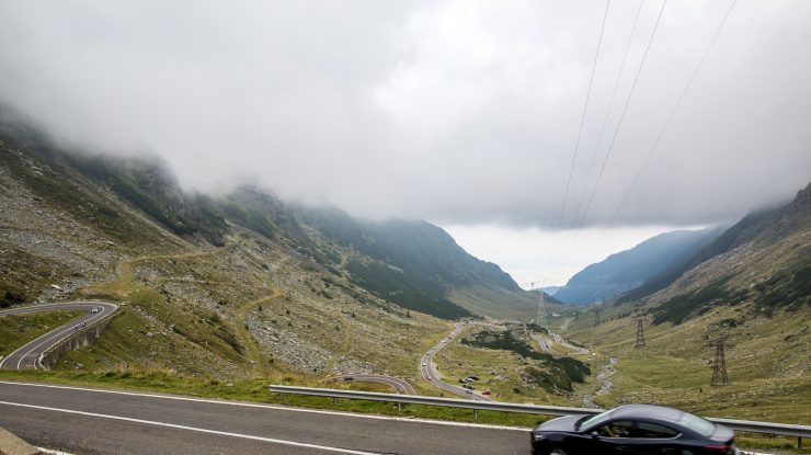 Mesaj RO Alert: un urs a apărut pe Transfăgărășan, nu hrăniți animalul