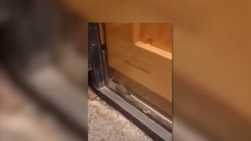 O simigerie din Galaţi, închisă şi amendată după ce a fost găsit un şoarece în vitrină