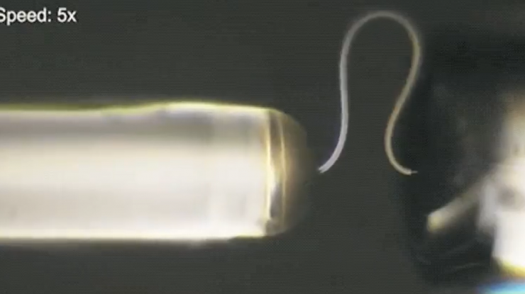 VIDEO. Oamenii de ştiinţă au creat gheaţă care se poate îndoi. La ce poate ajuta