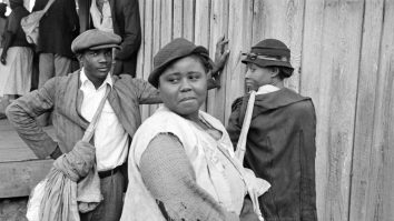 scalavi, plantație, colonie