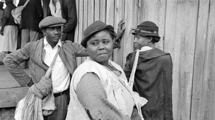 scalavi, plantație, colonie