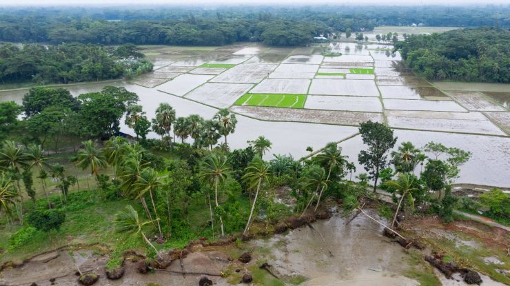 inundatii in bangladesh