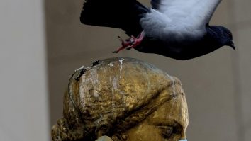 O nouă epidemie în Statele Unite. Oamenii de ştiinţă nu ştiu care este cauza