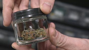 British American Tobacco: Viitorul aparține cannabisului