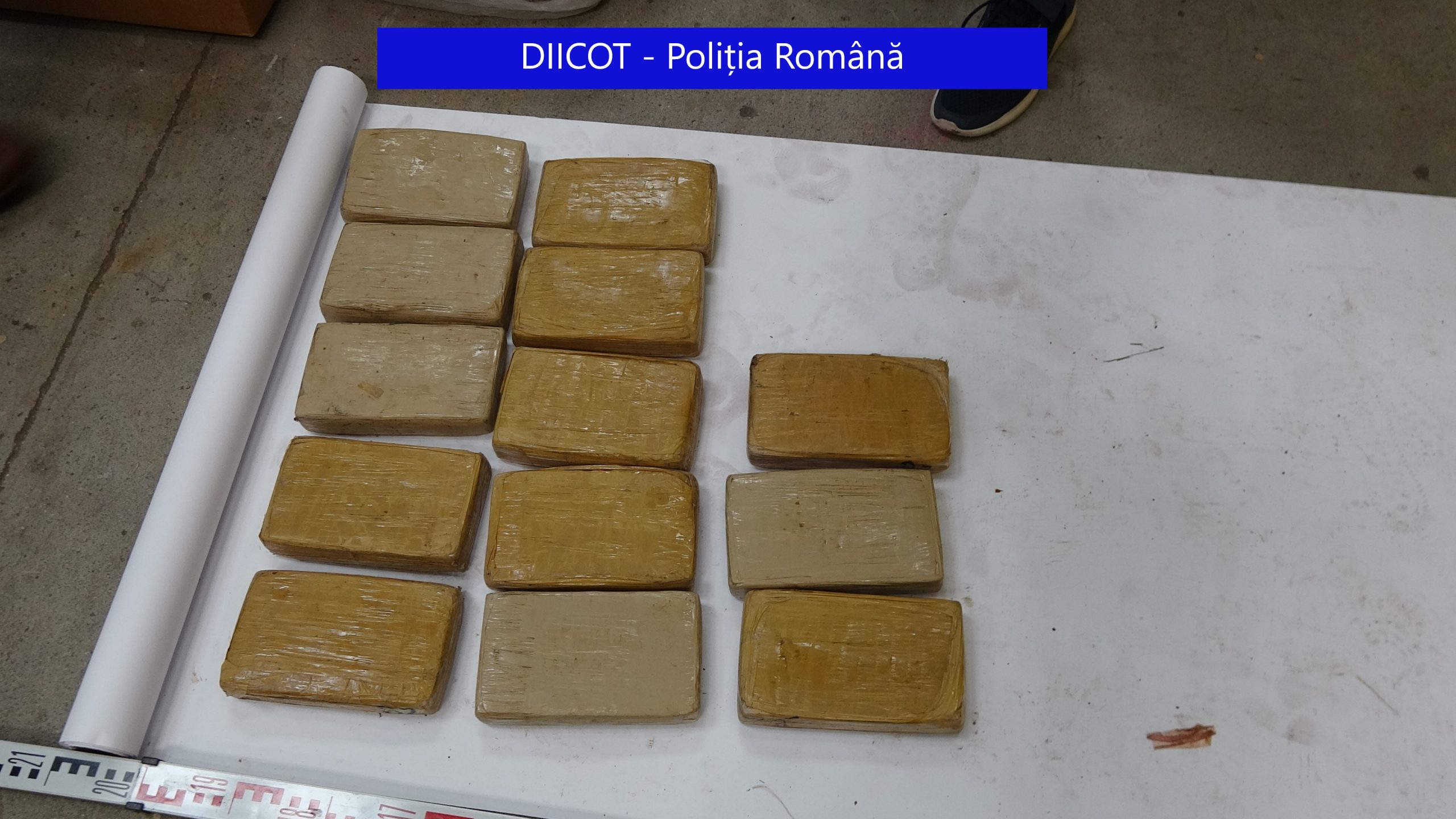 Jumătate de tonă de cocaină, în valoare de 25 de milioane de euro, descoperită în baxuri de banane depozitate într-o hală  din Chiajna. VIDEO