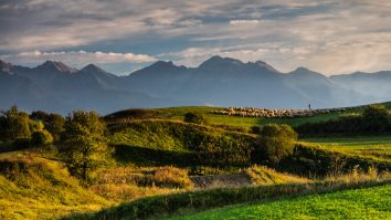 Colinele Transilvaniei