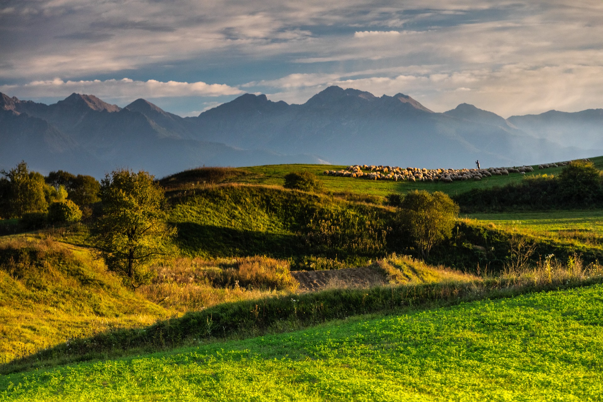 Ecoturismul, din ce în ce mai căutat de români. „E o combinație între un turism activ și unul de descoperire”