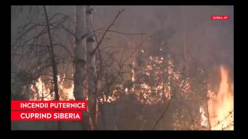 Incendii devastatoare în Siberia: Peste 100.000 de hectare au fost cuprinse de flăcări. „Nu ne putem vedea din cauza fumului, iar ochii ne ard”