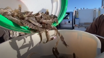 Metoda inedită folosită de autoritățile dintr-un stat american pentru a popula lacurile cu pești. VIDEO