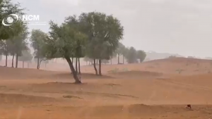 ploaie in emiratele arabe unite