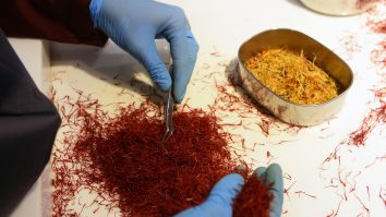 Condimentul care te îmbogăţeşte. Un kilogram costă 10.000 de euro. În cât timp recuperezi investiţia