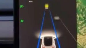 VIDEO: Momentul în care o Tesla încetinește în mod misterios în mijlocul drumului. Motivul e uimitor