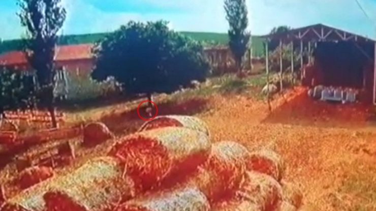 Ultimele imagini cu fetița de 3 ani în viață. Foto: cameră de supraveghere