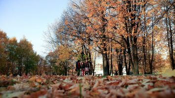 Prognoza pentru prima jumătate a lunii septembrie: Toamna începe cu temperaturi mai scăzute decât cele specifice perioadei