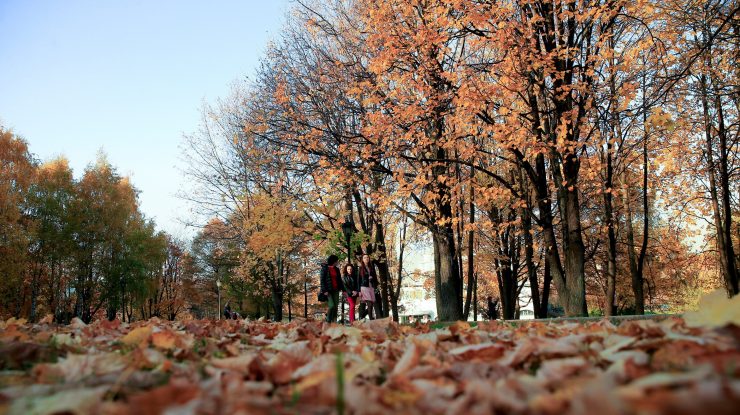 Prognoza pentru prima jumătate a lunii septembrie: Toamna începe cu temperaturi mai scăzute decât cele specifice perioadei